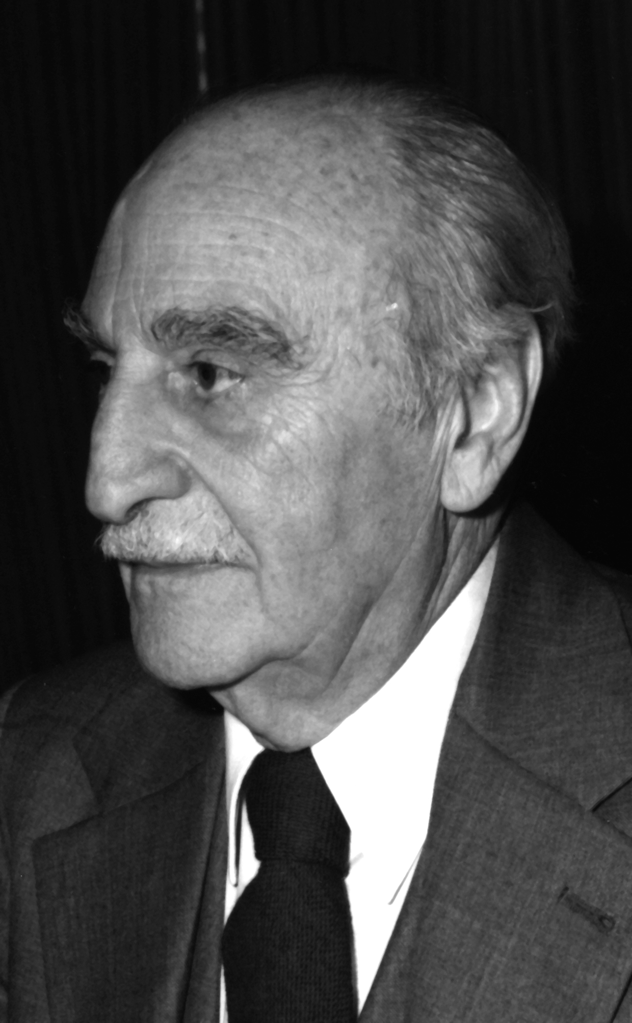 Francisco Ayala en 1982